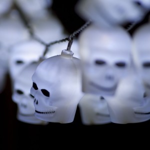 skull-fairy-lights